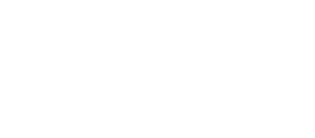 SAM Impianti logo